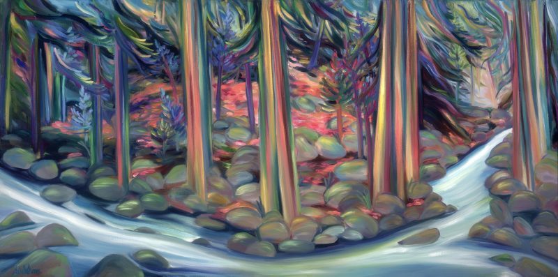 Forest River Passage 2