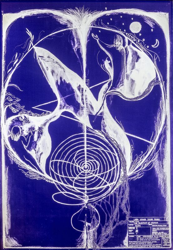 The Blueprint of Creation